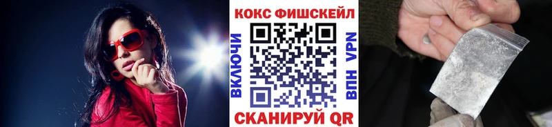 Cocaine FishScale  Купить закладки  Белинский 