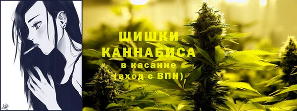 крисы Киреевск