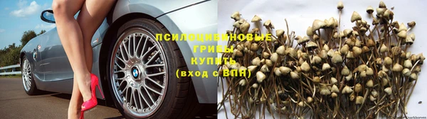 крисы Киреевск