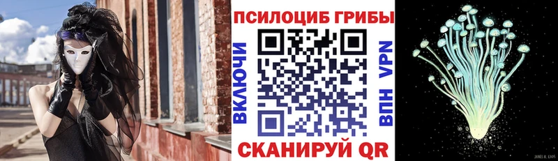 Псилоцибиновые грибы GOLDEN TEACHER  Купить закладки  Белинский 